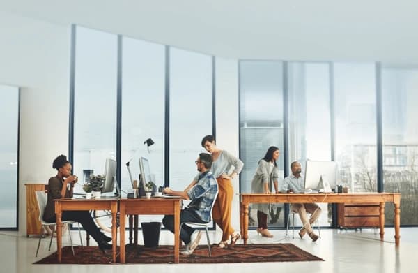 Professionals collaborating at wooden desks in a sunlit office space with large windows and computer workstations.